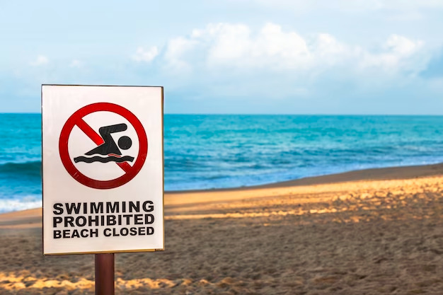 GOA BEACHES OFF-LIMITS FOR SWIMMING DUE TO ONSET OF MONSOONS: DRISHTI MARINE ADVISORY