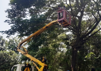 Trimming of trees along NH at Dramapur begins