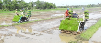 Transplanters, tractors roll into fallow fields of Chinchinim