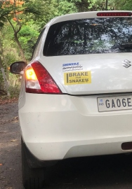 Campaign launched to reduce road kills of snakes in State
