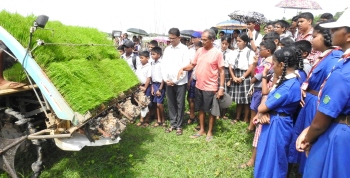 Navelim farmers bring abandoned fields in picturesque Salpem lake back to cultivation