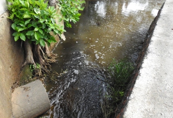 Discharge of effluent in fields, water bodies: GSPCB directs firm in Nessai Industrial Estate to stop Ops