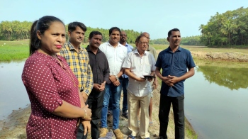 After 25 years, youth cultivates 2.8 lakh sq mtrs of fallow land at Velsao