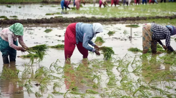 Importance of monsoons in India