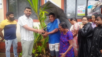 St Andre MLA disburses saplings on b'day