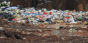 Dry waste piles up at Margao railway station, yet to be lifted