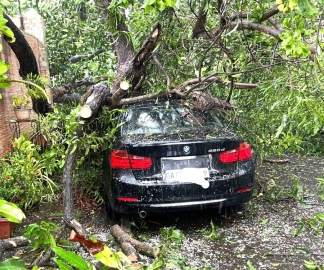 Hillock gives way at Chandrawaddo; car damaged in tree fall at Abade Faria road