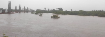 Demand for stilts echoes as water levels rise dangerously