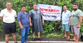 Croc spotted crossing road in Cavelossim; students cautioned