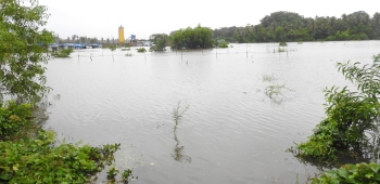 Seraulim farmers push for steps to ensure flood water recedes