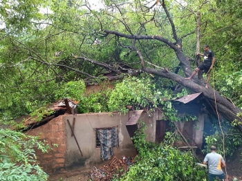 Normal life thrown out of gear in Salcete’s countryside