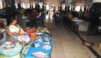Shoppers fume over waterlogging of road near SGPDA retail fish market