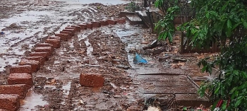 Kamat on inspection of Sonsodo lands in open, waterlogged drain