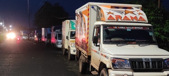Amid fish ban, formalin scare, fish trucks line up at wholesale market
