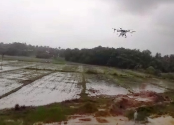 Drones spray weedicides on paddy fields at Salpem lake