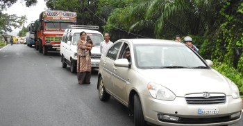Traffic on NH66 disrupted after tree comes crashing down on road