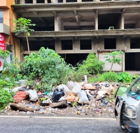 Govt should appoint efficient minister for garbage disposal