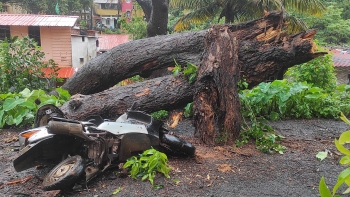 Houses, vehicles damaged as trees come crashing down in Salcete