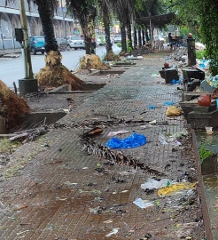 Health inspection reveals unhygienic conditions at Margao retail fish market