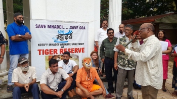 On World Tiger Day, the roar for Tiger Reserve intensifies