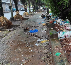 SGPDA blames Margao municipality for foul odour, strays at retail market