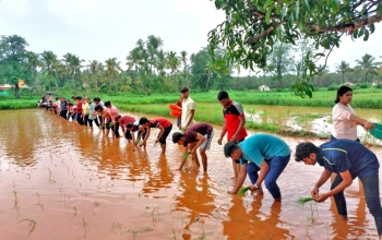 From farming to food processing, agri students get boost in State