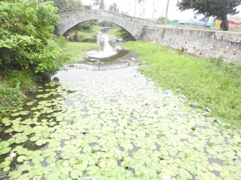WRD, Colva creek under GSPCB scanner over STP