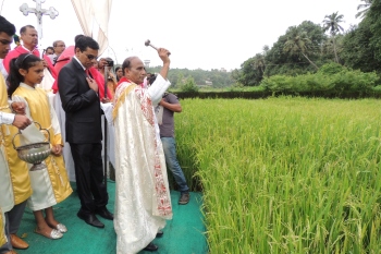 Historic harvest feast of Taleigao: Rituals of the 4-day Novidade