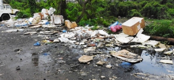 Issue of thermocol waste along SGPDA market road, Sal banks comes under HC scanner