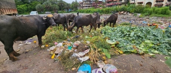 Waste problem plaguing PDA markets remains unresolved