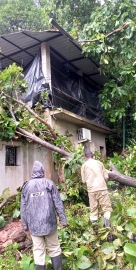 House damaged, numerous trees uprooted in Bicholim