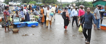 Fish vending tangle returns to haunt authorities