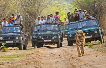 Wildlife conservation challenges ahead