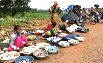 Migrant vendors shift operations to adjoining Seraulim
