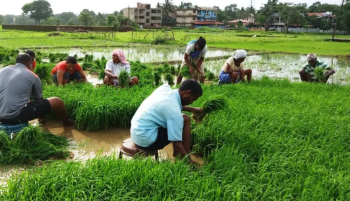 Palestinians, Goans and their land
