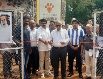 3,500 strays to be vaccinated, sterilized in two-and-half month ABC exercise