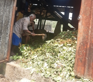 Environmental audit pointed out plant had been operating without 'consent'
