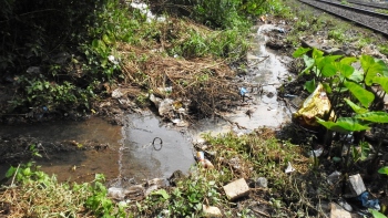Sewage water flowing from nullah stagnates along Margao rail tracks