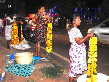 Dampner for local marigold farmers as K'taka traders profit from Dussehra biz