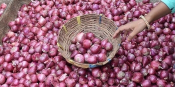 Partial relief for Goans as Horticulture outlets sell onions cheaper