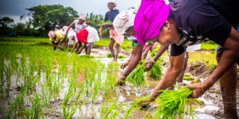 AGRI POLICY: SOWING SEEDS OF HOPE