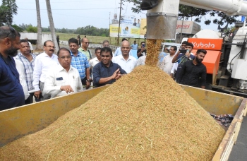 250 farmers revive 50 ha of paddy fields at Chinchinim