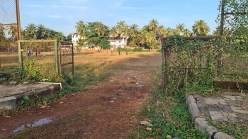 Colva ground craving for attention
