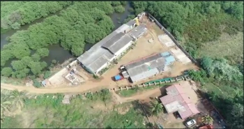 Illegal Merces structures to face the axe
