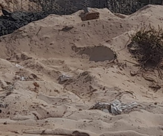 GCZMA intervention sought against development at Sernabatim beach