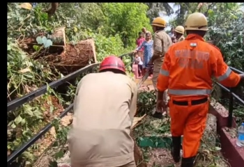 Tree falls, damages house, blocks pathway in Neturlim