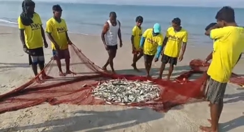Traditional fishermen demand action against boats from neighbouring states in Goan waters