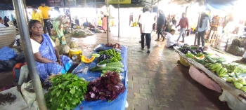Local vegetable growers weigh survival if there is no sale of produce they grow