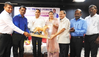 Govt making efforts to get political quota for STs in 2027 polls: Gaude
