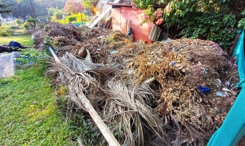 Disposal of garden and coconut waste continues to elude MMC